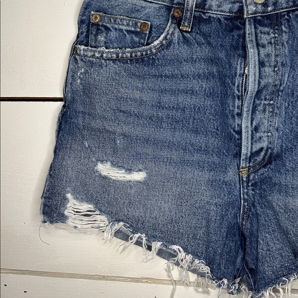 AGOLDE Dee Short Vintage High Rise Organic Cotton Denim Jean Shorts - Picture 5 of 16